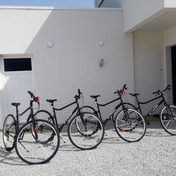 4 vélos adultes à disposition
